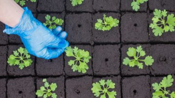 LED 繁殖燈提高繁殖成功率	