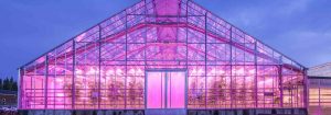 溫室 LED 照明