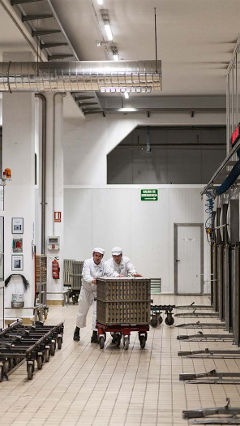 在 Hero 工廠，這兩位男性工人正在飛利浦食品業照明下工作