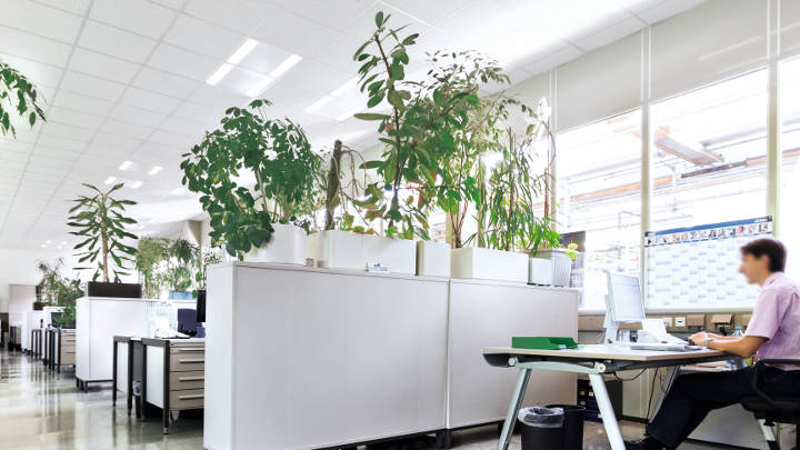 使用飛利浦辦公室照明的德國 Bosch 開放式辦公室區域
