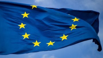 玻璃大樓旁的樹木