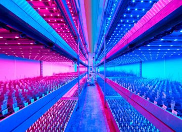 每年多個作物週期