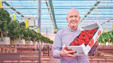 Brookberries 主管,Marcel Dings