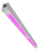 飛利浦 GreenPower LED 間照明