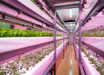 降低食品污染物的風險