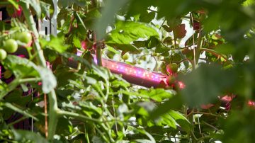 飛利浦 GreenPower LED 間照明