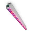 飛利浦 GreenPower LED 頂燈照明