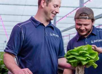 引領園藝 LED 照明技術