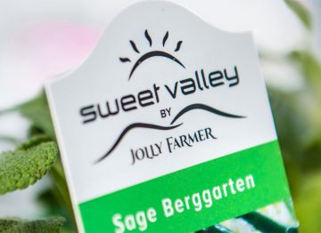 利用 LED 栽培燈提高生長品質，減少能耗