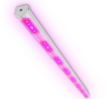 飛利浦 GreenPower LED 生產模組