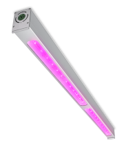 飛利浦 GreenPower LED 頂燈照明